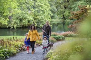 A family walks together beside a river in a woodland walk.