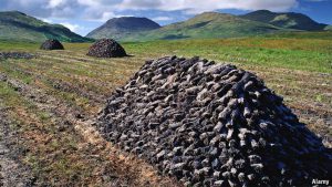 Pile of turf cut in Irish Peatlands in a field