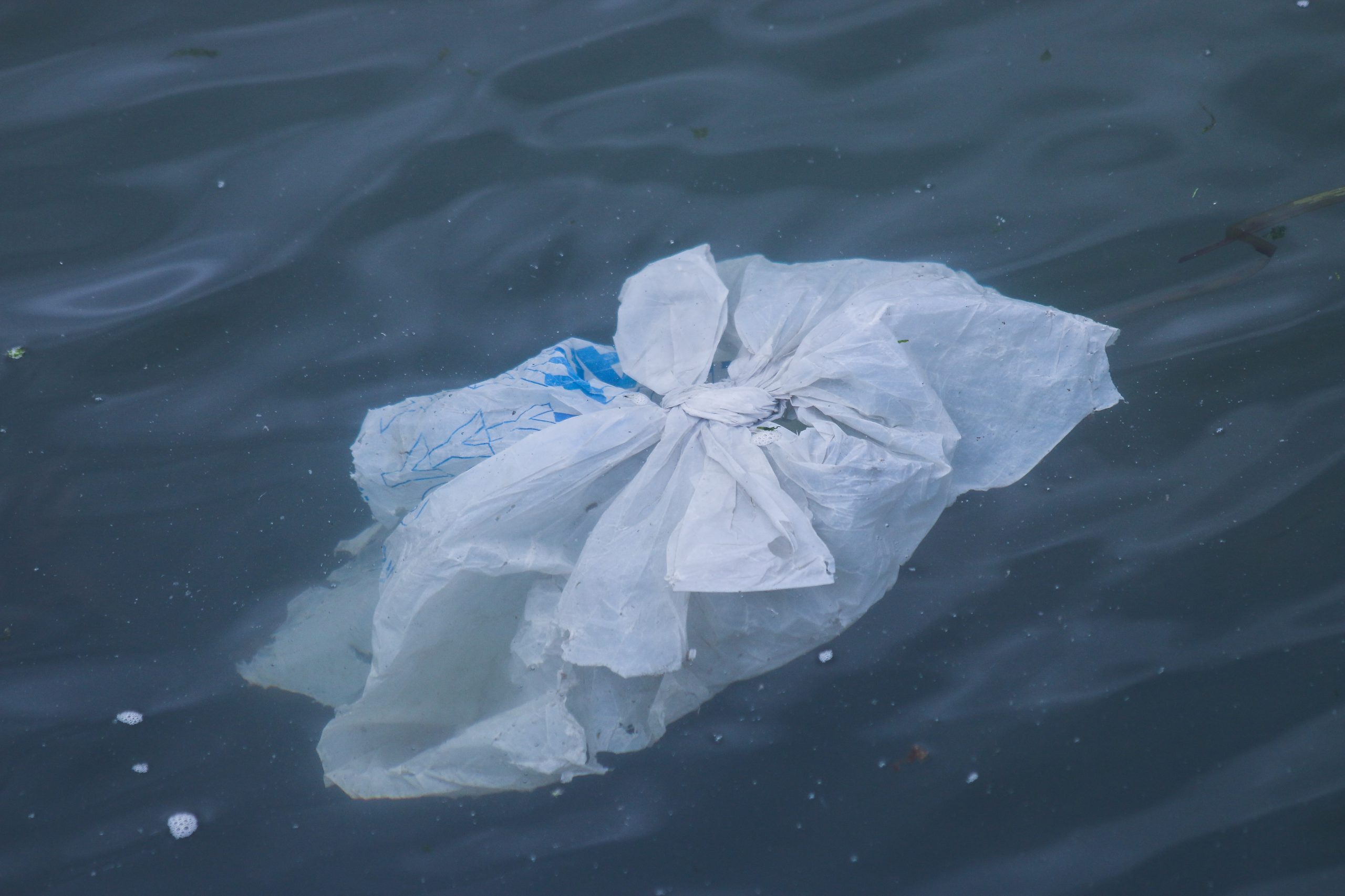 PLastic bag floating in the water