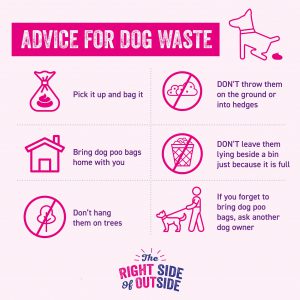 Issues related to dog poo as in infographic.