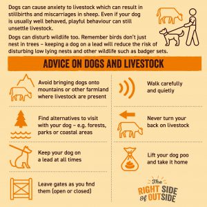 Issues related to Livestock Worrying as in infographic.