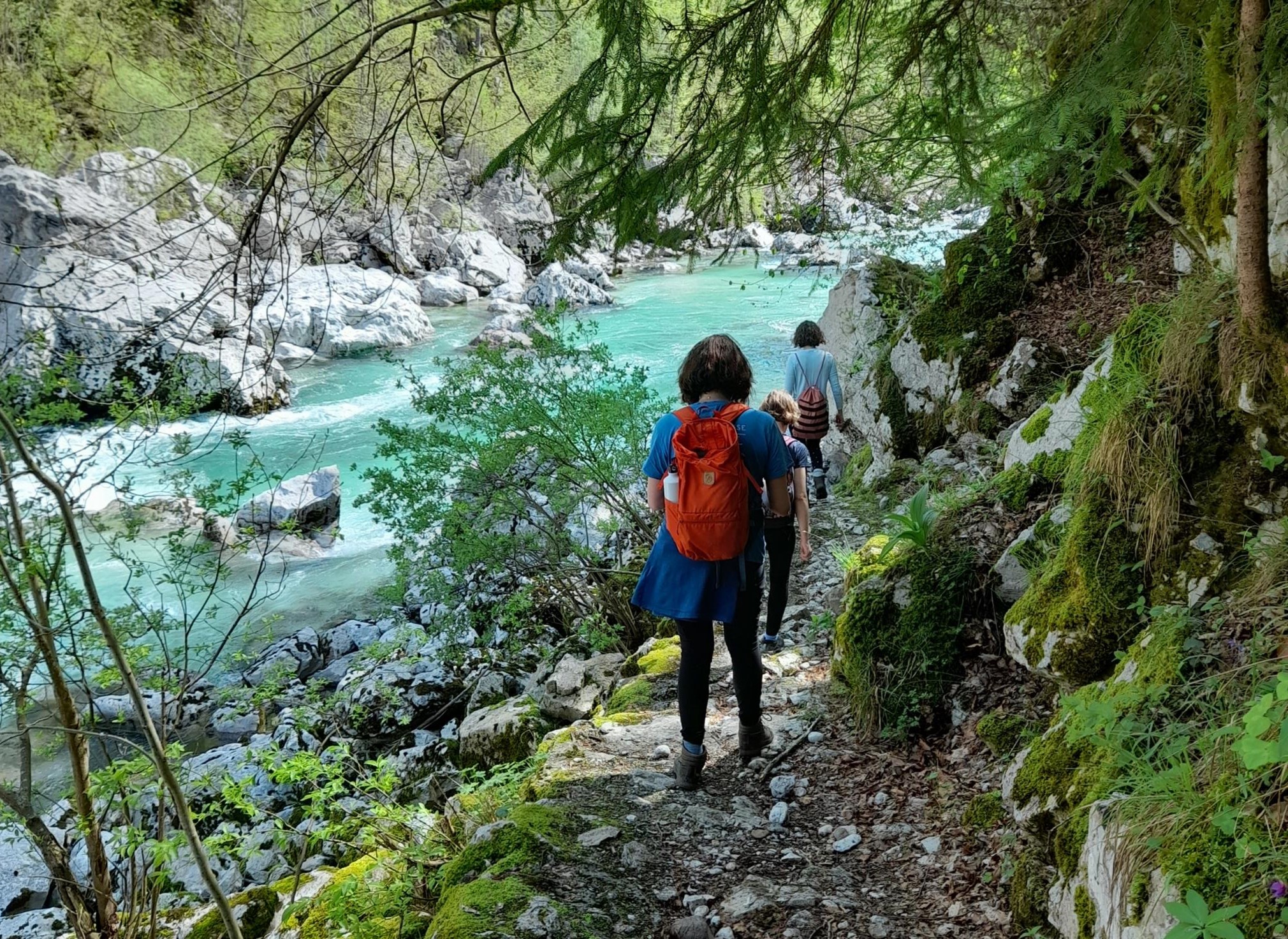 People walking down a rocky trail next to a blue river in Slovenia surrounded by green trees